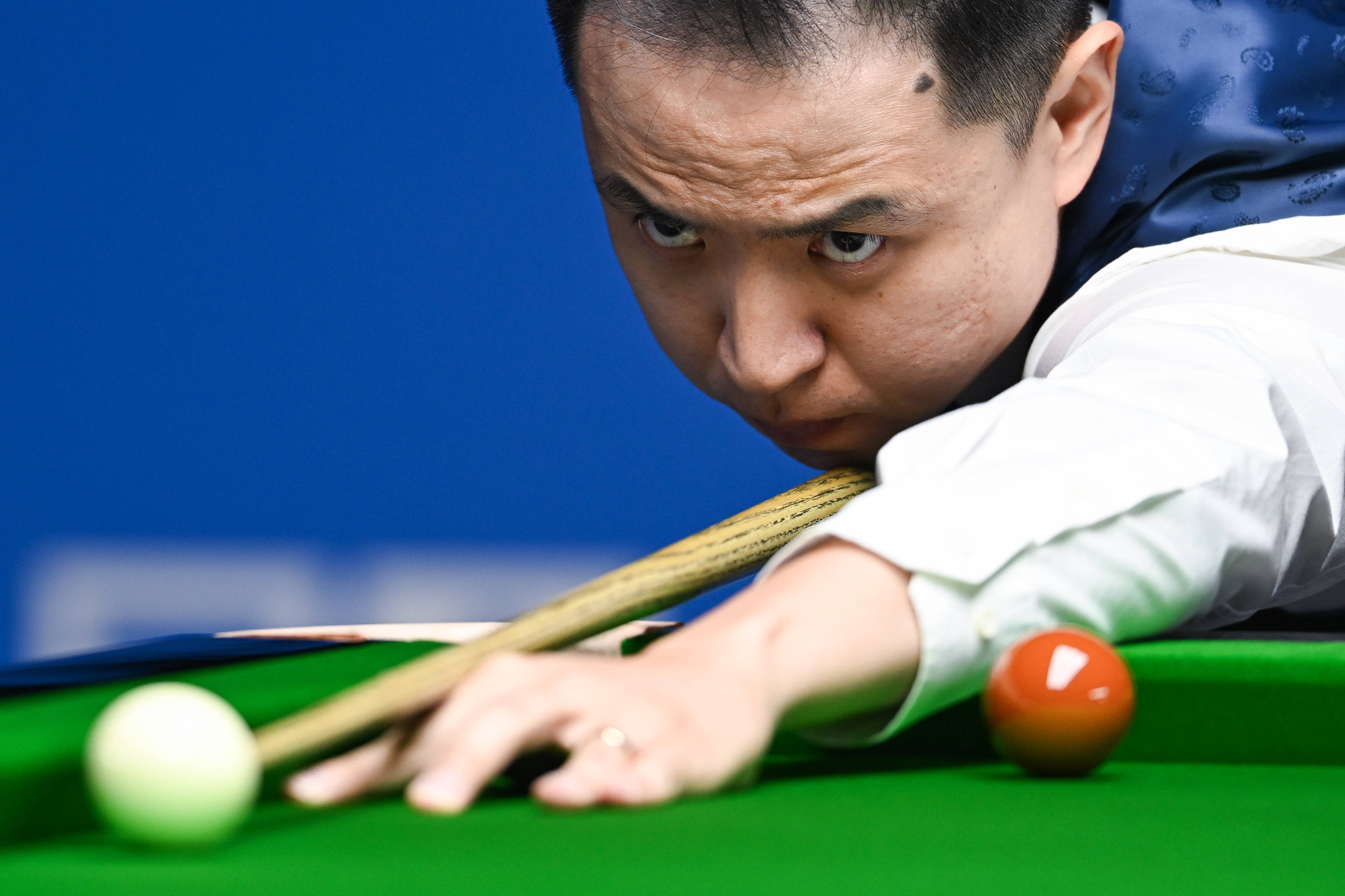 安赛龙也有 安赛龙也有