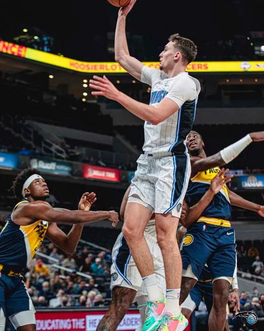 球迷群体的 球迷群体的