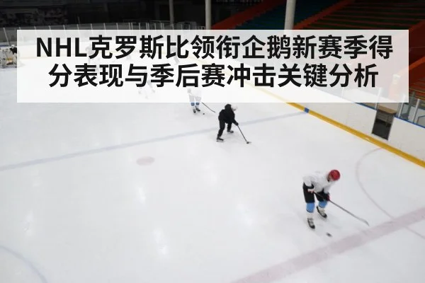 ice hockey game